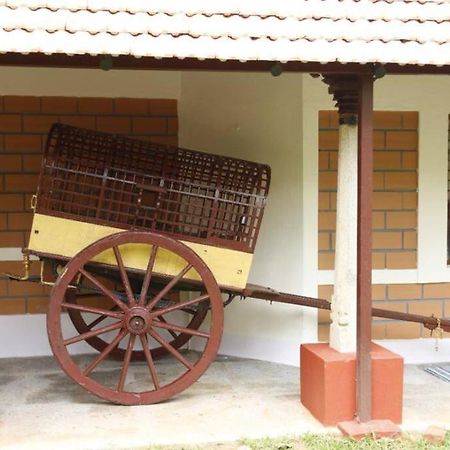 'Vrindavan' In Heritage City Mysuru מראה חיצוני תמונה