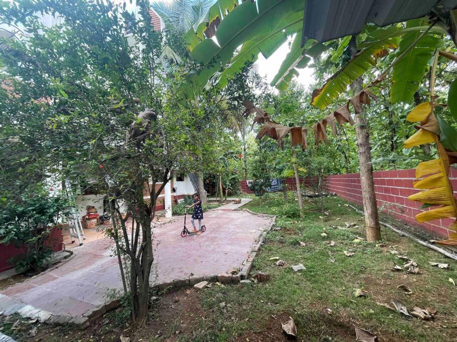 'Vrindavan' In Heritage City Mysuru מראה חיצוני תמונה